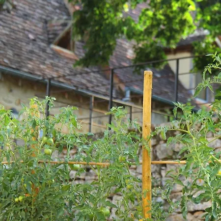 Maison Milou
